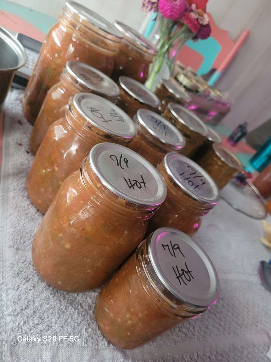 Homemade Salsa