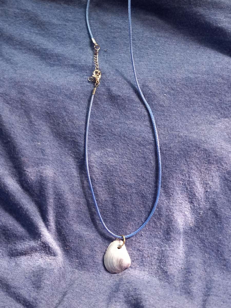 crafted ocean shell necklace