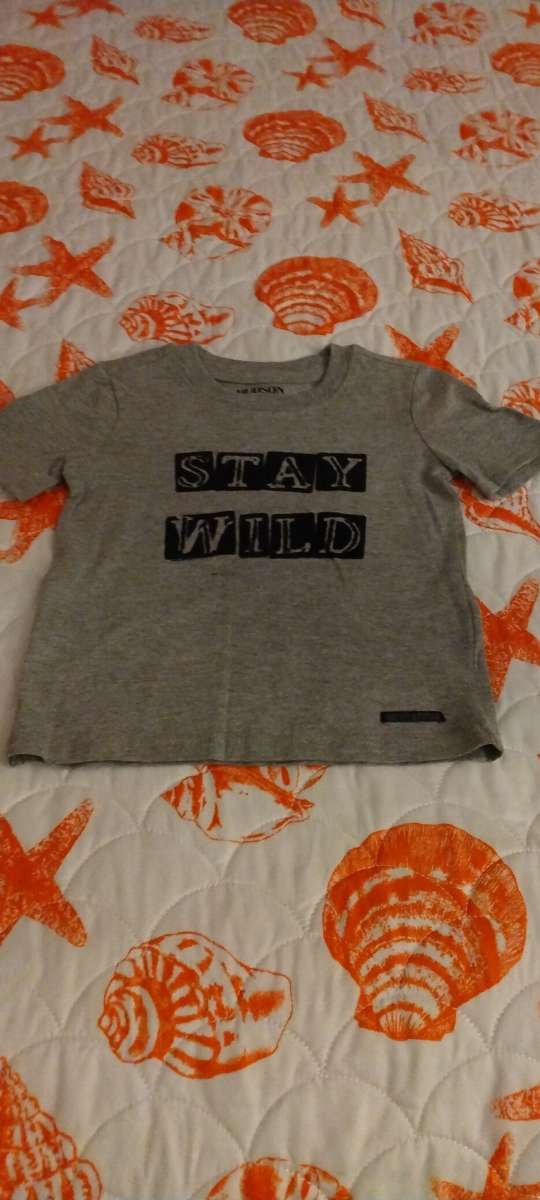 boy short sleeve shirt