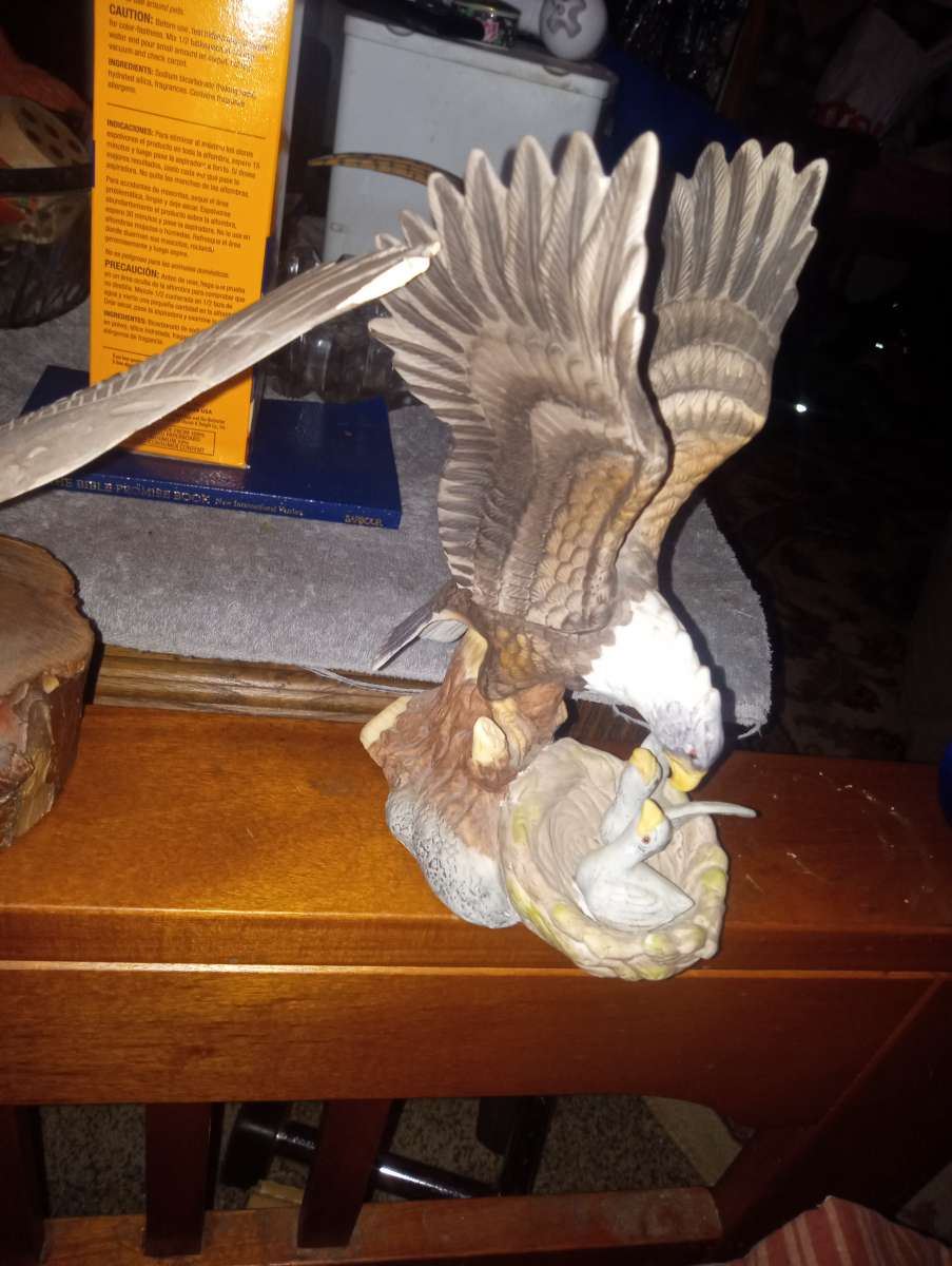 big owl feeding babies