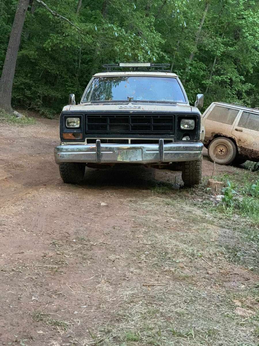 1984 dodge D150 Regular Cab short bed