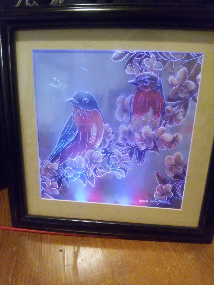 framed picture of two birds with LED lighting