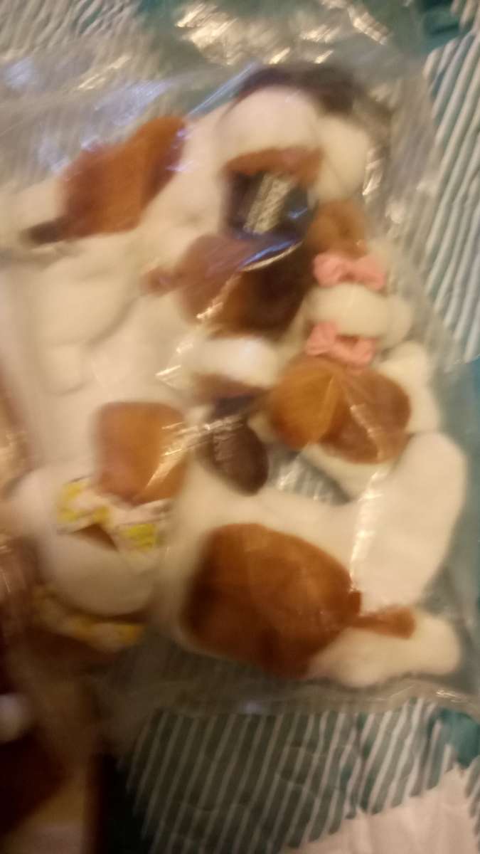 Bassett bean hounds set in plastic an carrying case