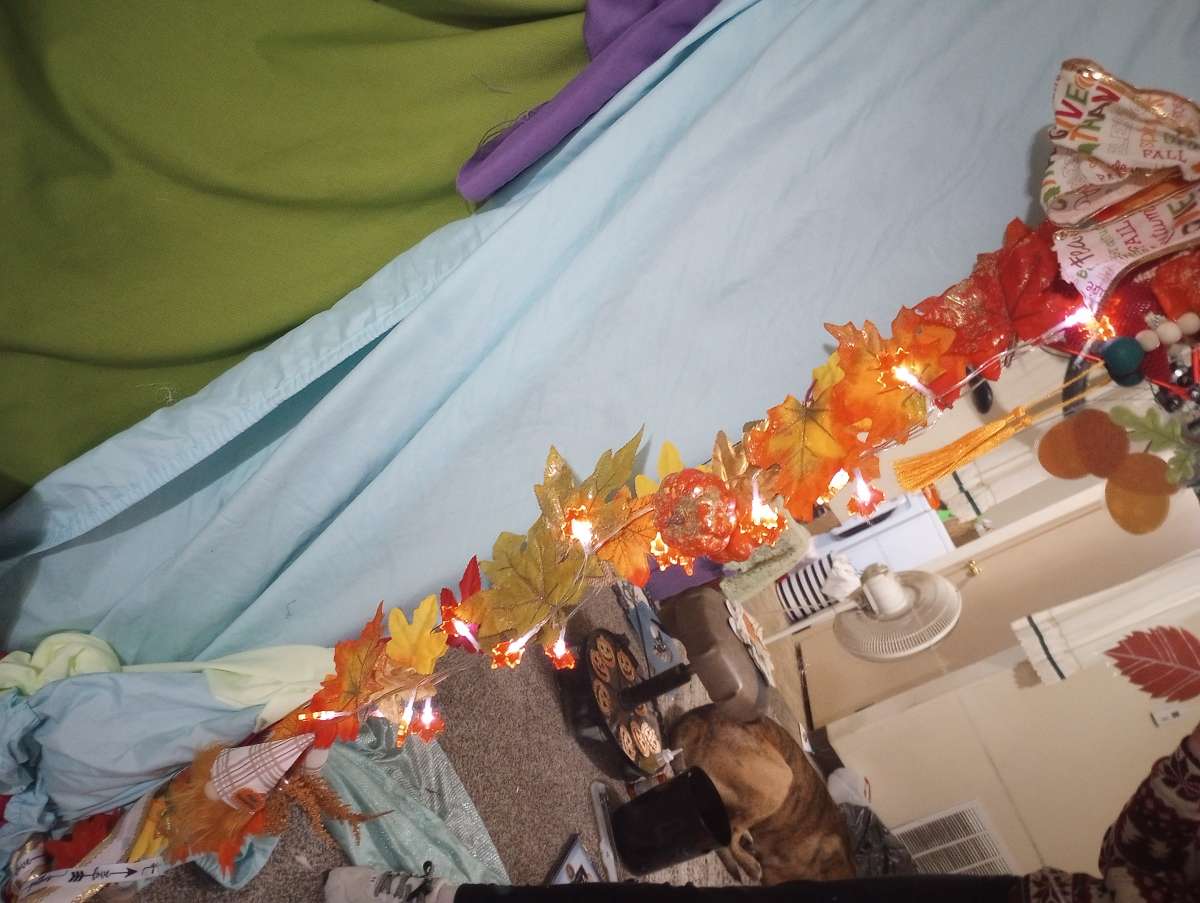 48 in x 32 in Full Length Fall Frame Mirror