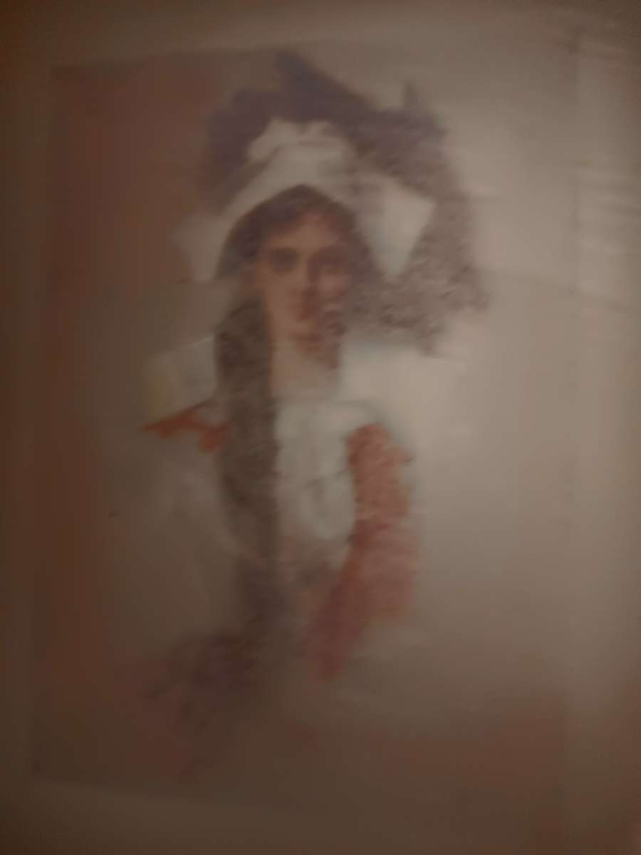 Evangelive antique bopk copywrighted 1866