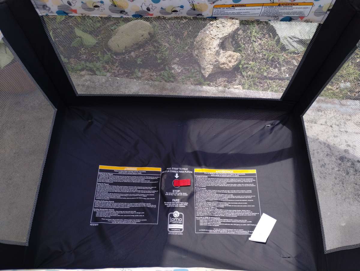 playpen and highchair