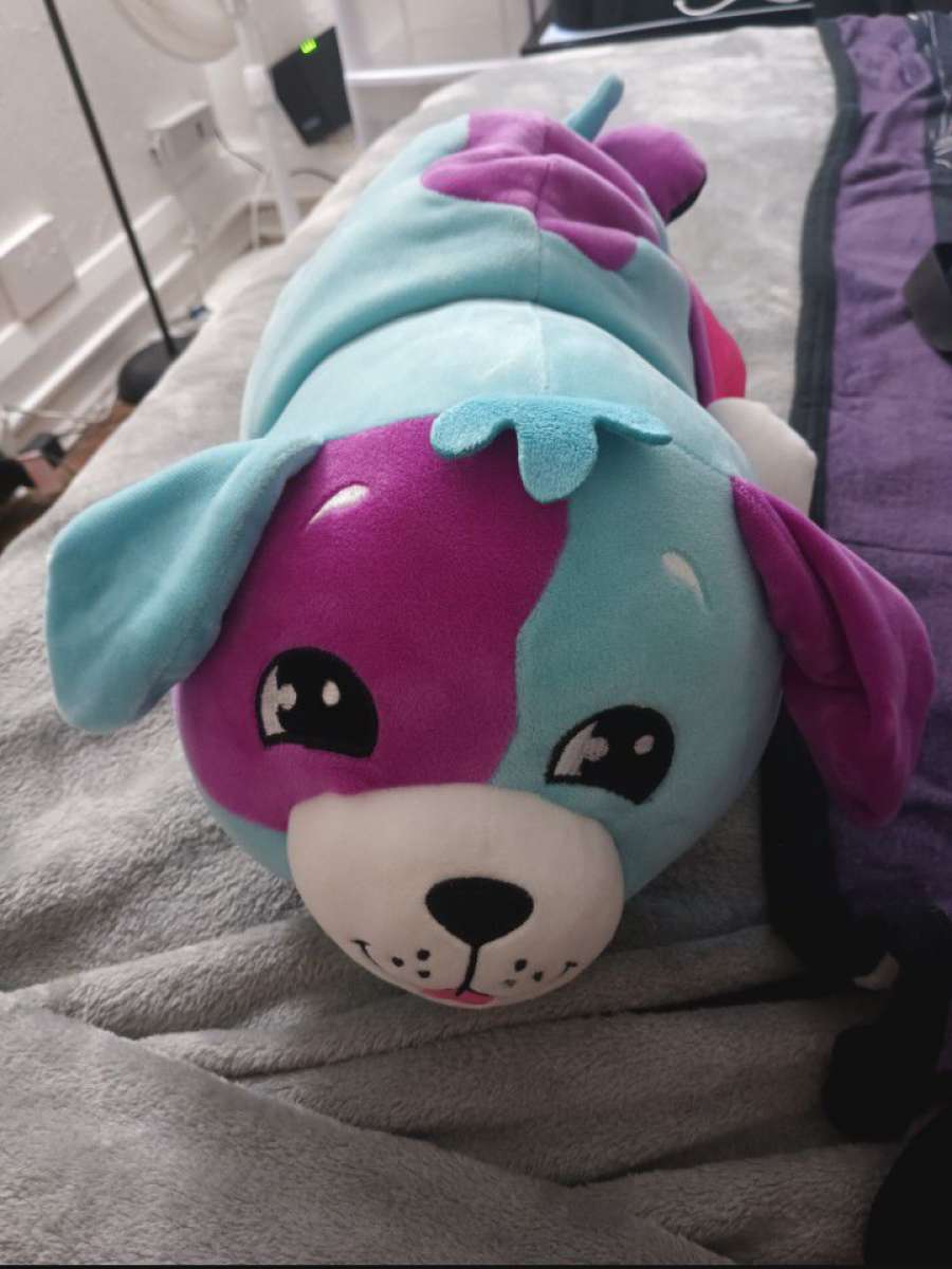 Cat And Dog Flip Squishmallow