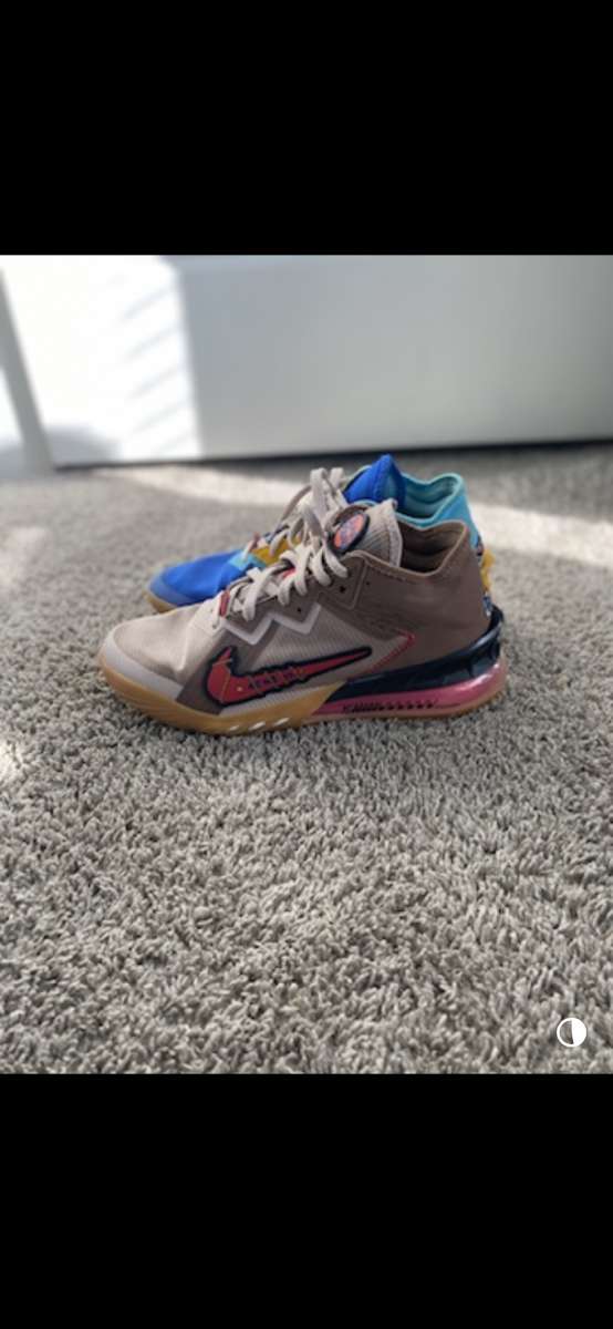 Space jam x lebron 18 shoes