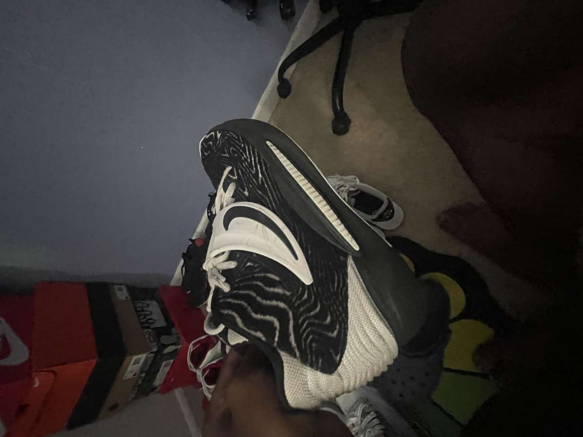 kd 15 size 10