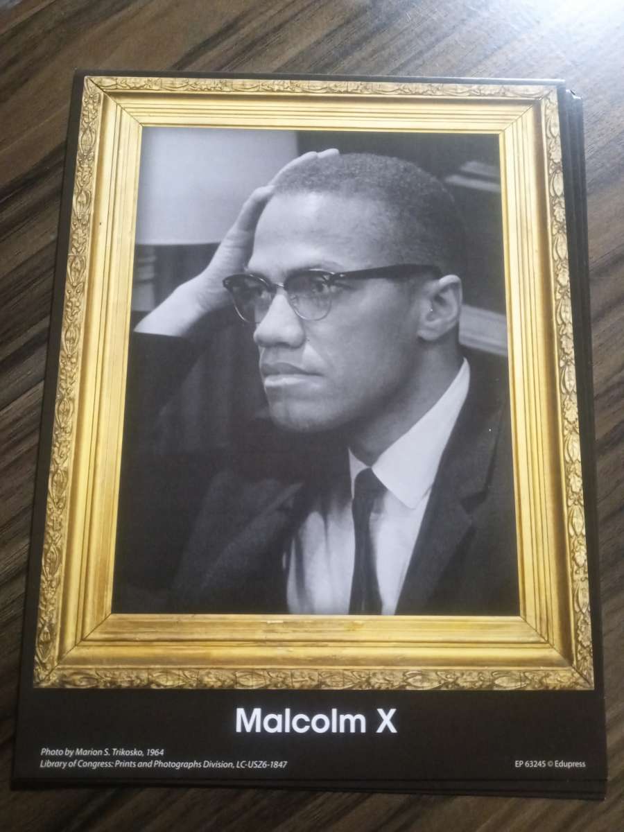 MALCOLM X PORTRAIT