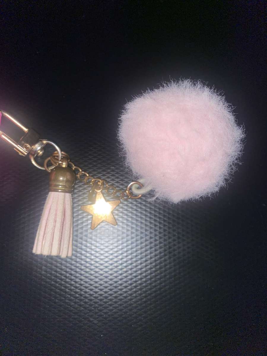 Barbie Airpods Pro Case