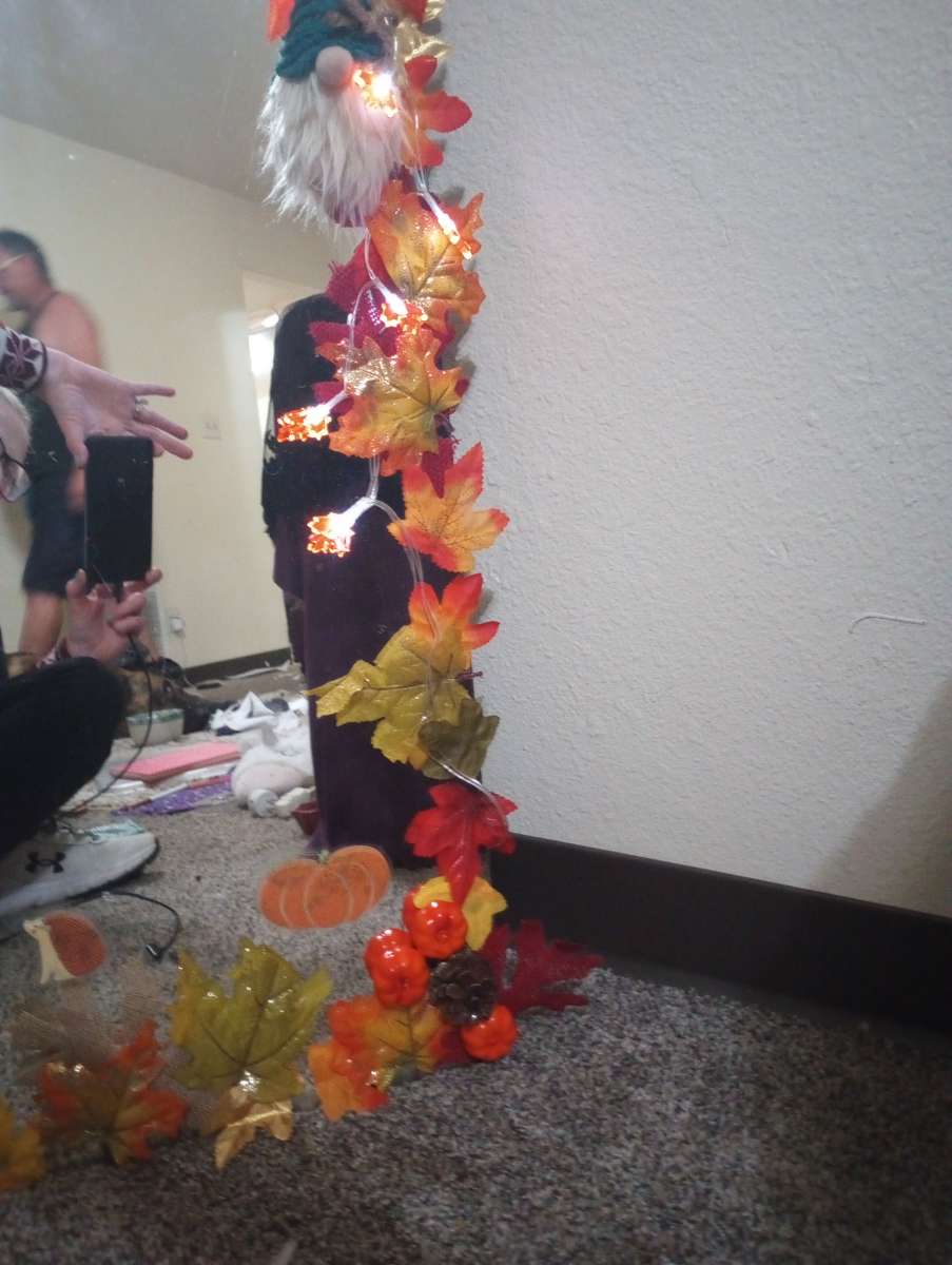 48 in x 32 in Full Length Fall Frame Mirror