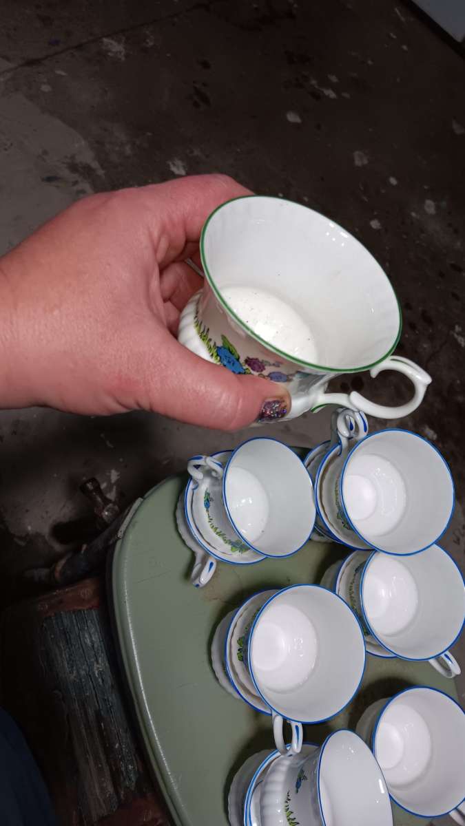 13 piece fine bone china tea cups hanpainted