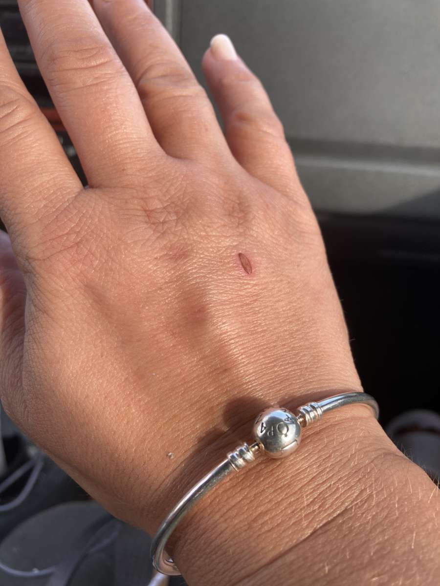 pandora silver kiss bangle