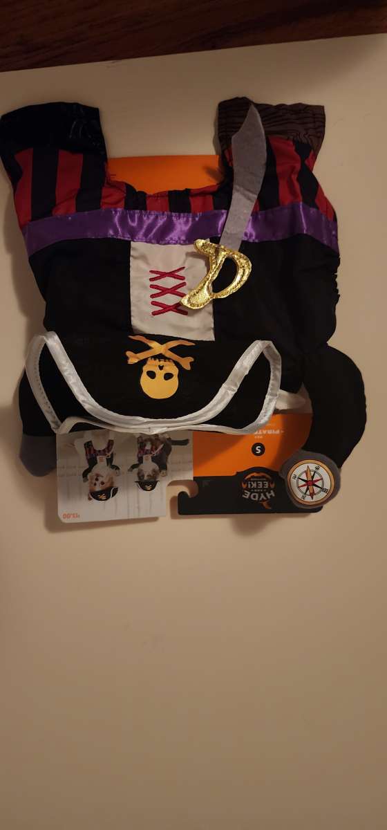 pet pirate Halloween costume