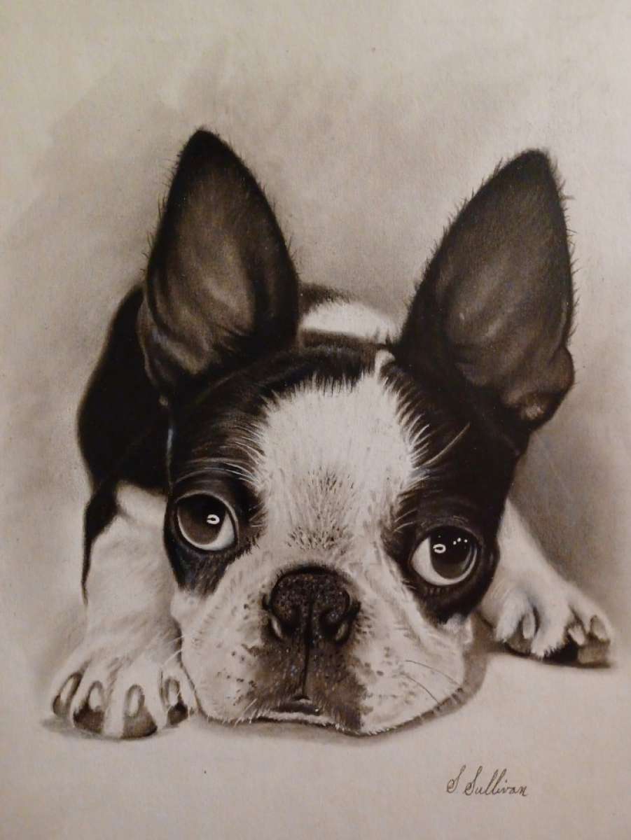 Hand drawn portraits