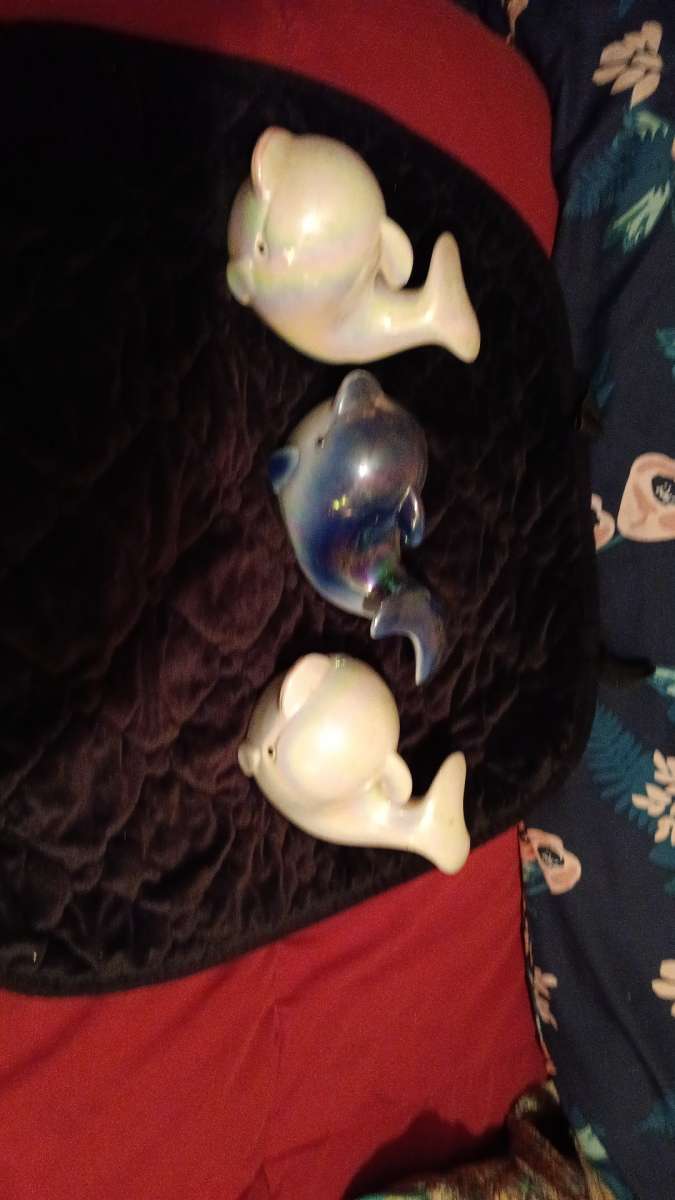 3 peice dohpin set with muti color light reflicting gloss