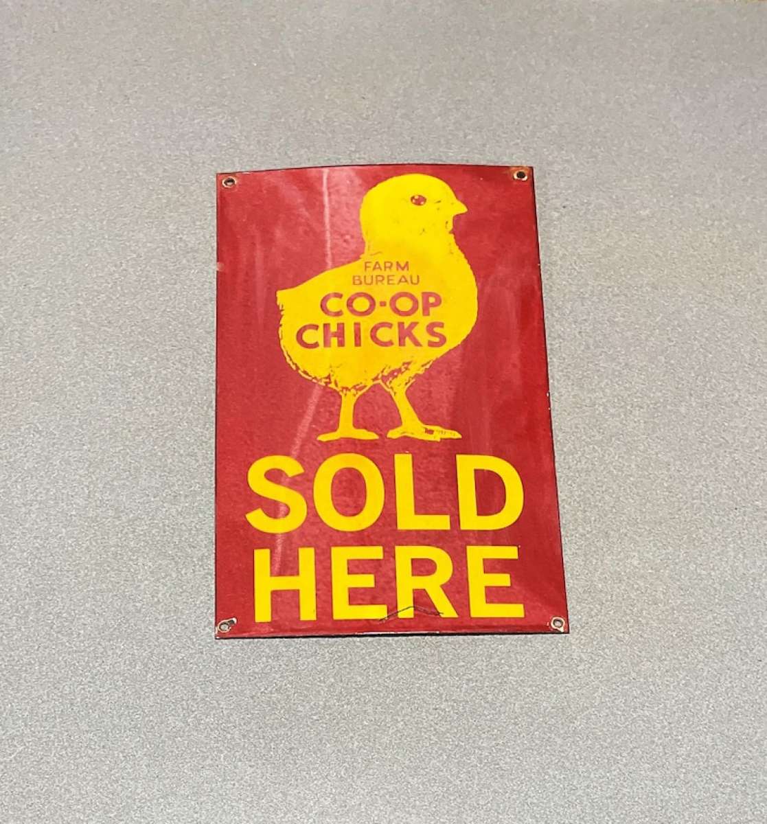 chicks sold here sign vintage