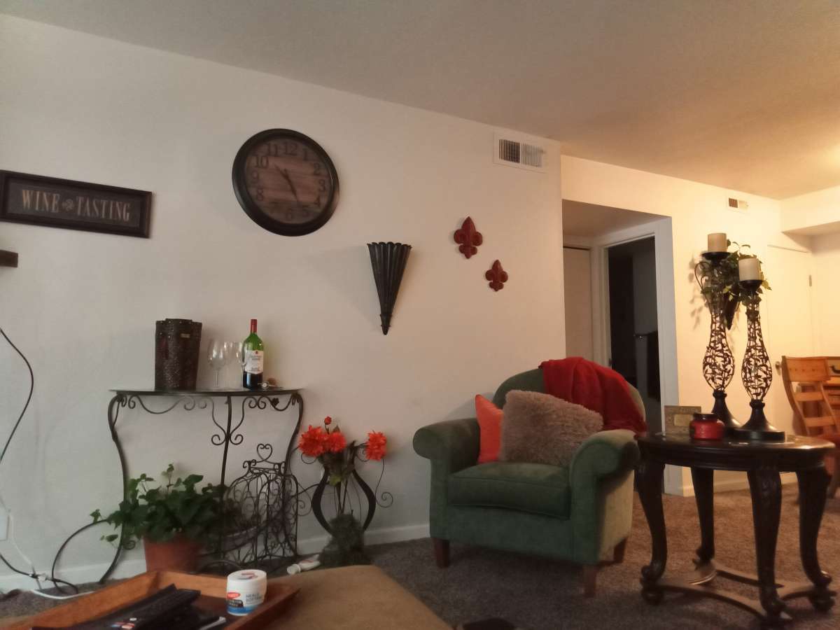 all household furniture also 55 in TV microwave laptop ect