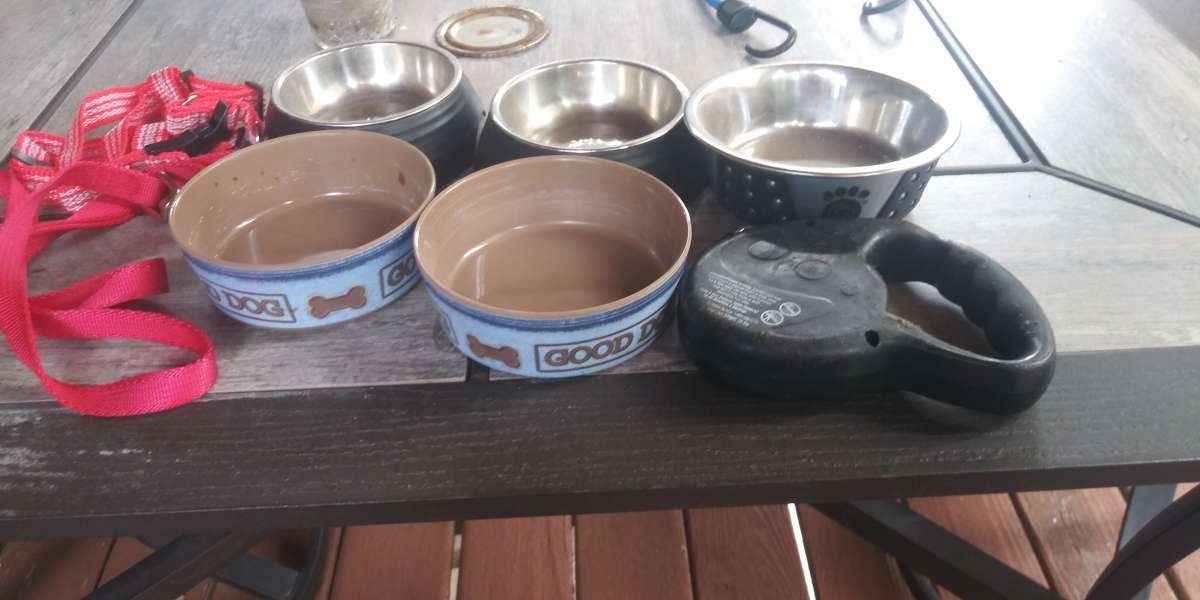 Dog bowls leashes and a harness
