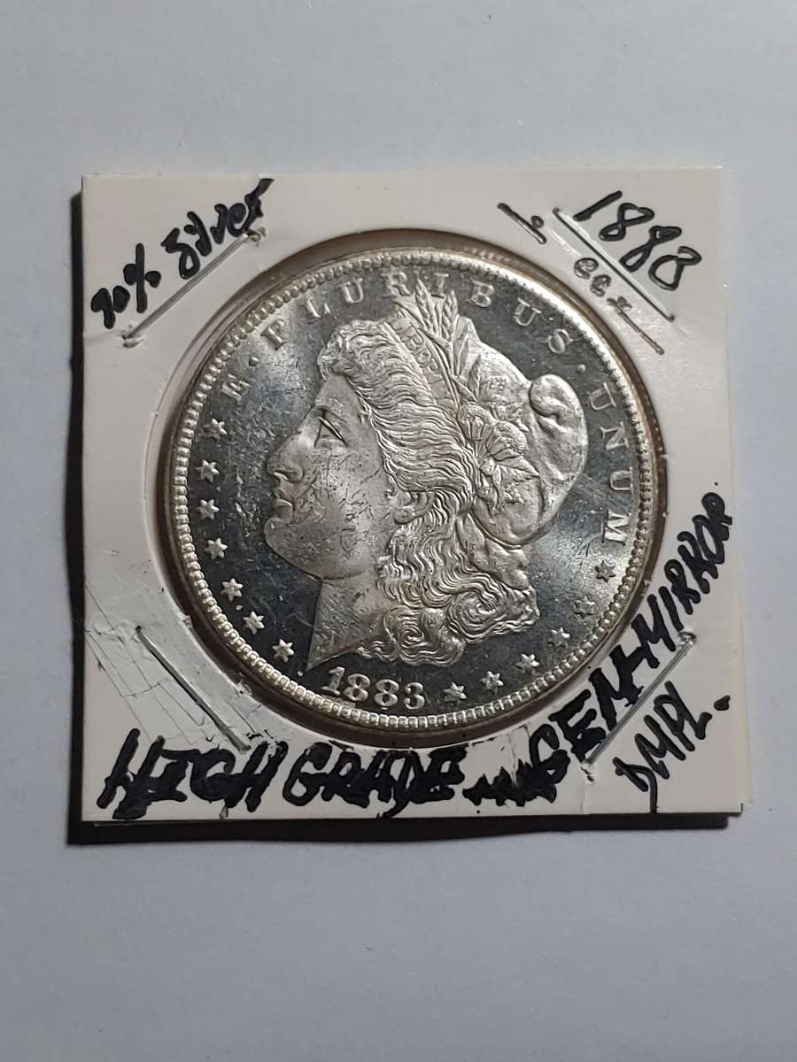 HIGH GRADE GEM DEEP MIRROR DMPL SILVER 1883 cc