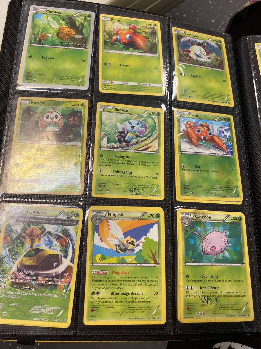 Pokmon binder and cards