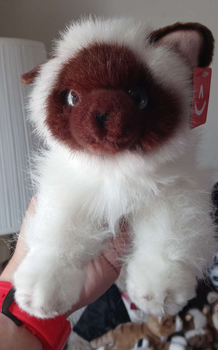 3 BRAND NEW SIAMESE PLUSH COLLECTOR CATS 5 EACH