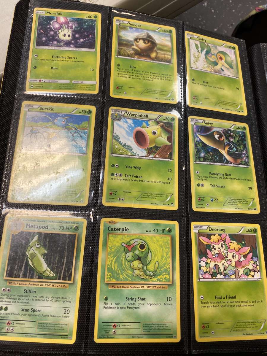 Pokmon binder and cards