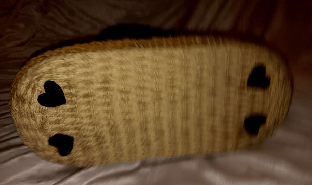 Brighton brand new large purse