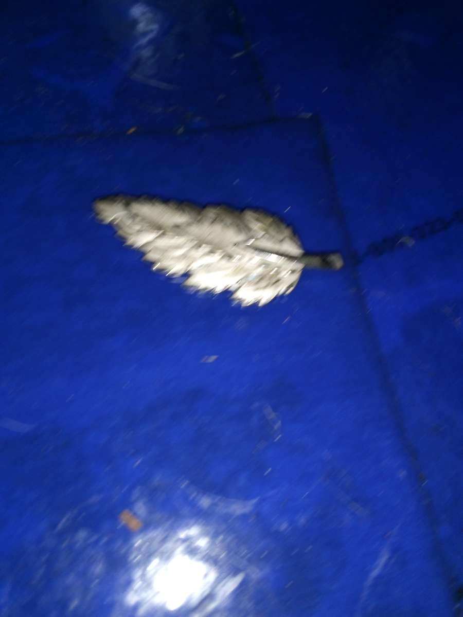 Sterling Silver Leaf Pin