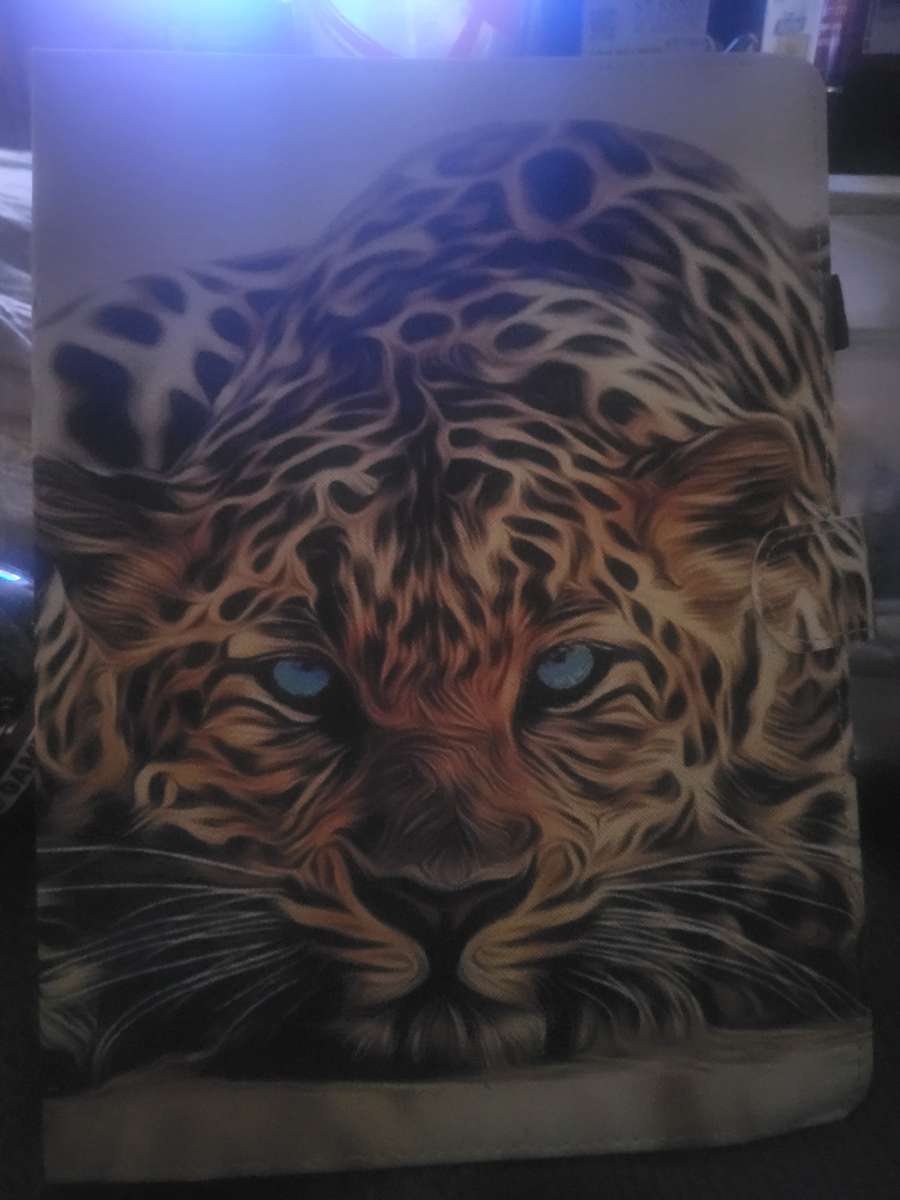 HP laptop and 2 android tablets