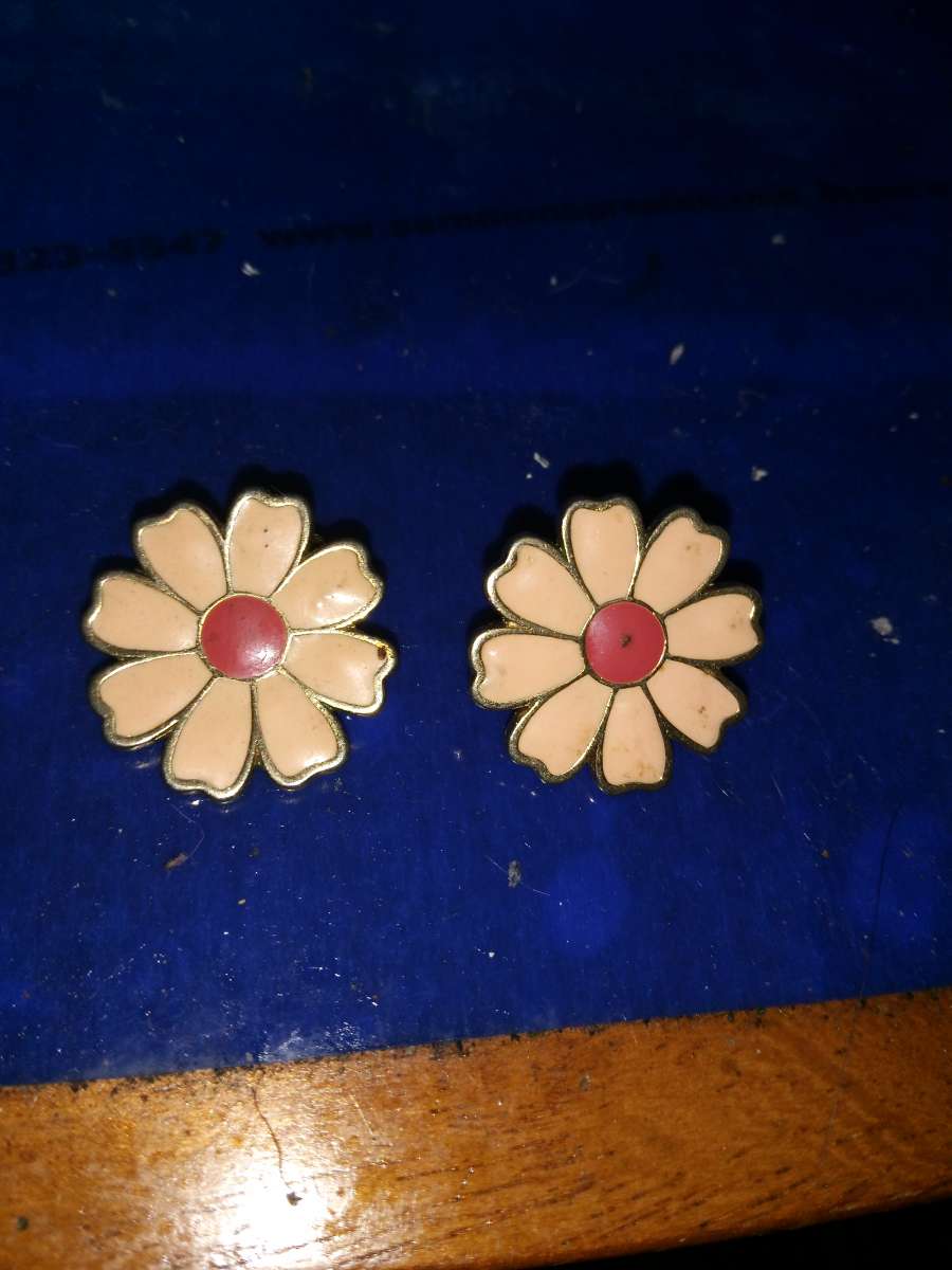Vintage pair of enameled clip on earrings