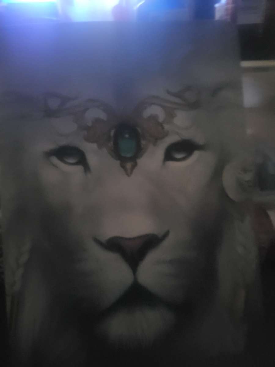 HP laptop and 2 android tablets