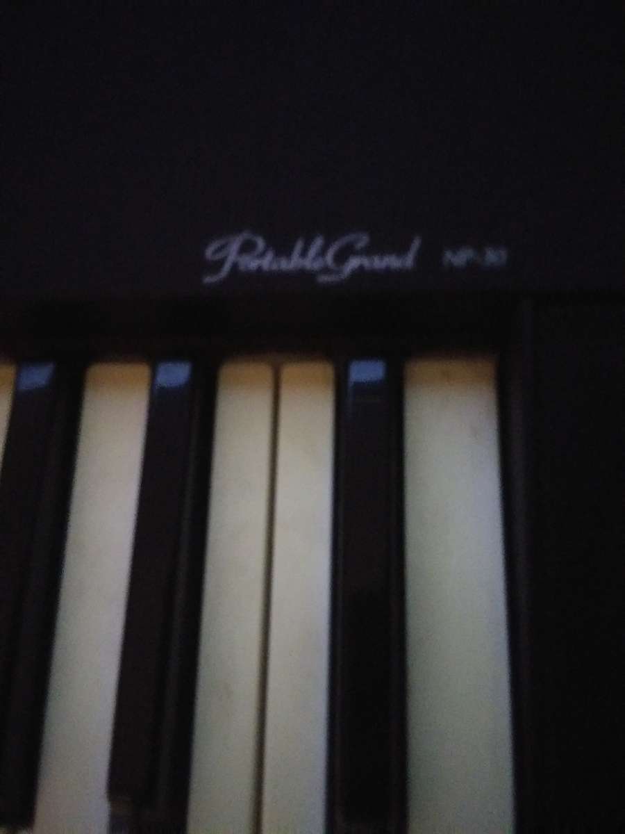Yamaha portable grand nd 30