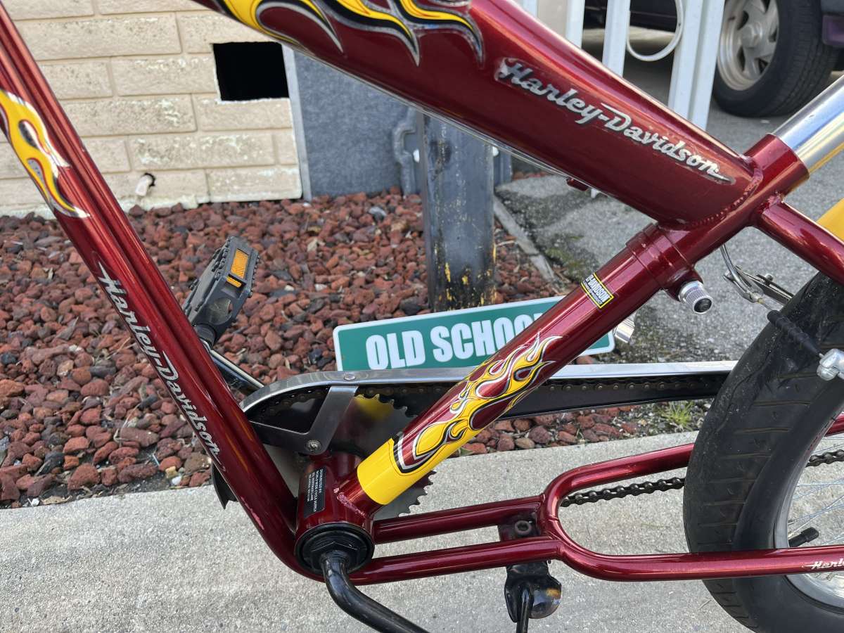 Harley Davidson bike bicycle rare collector