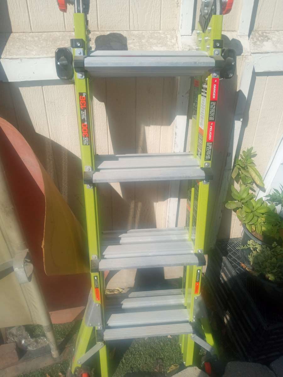 Little Giant Dark Horse Ladder