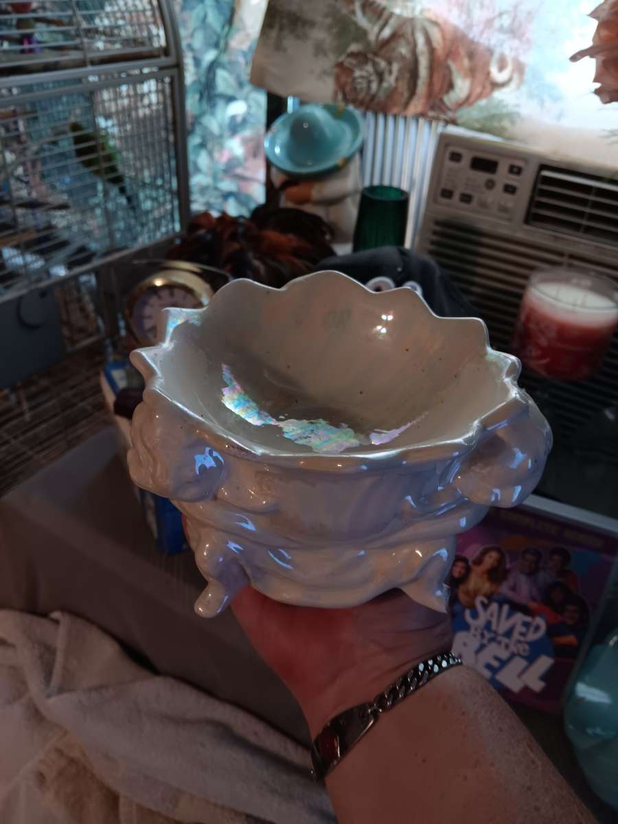 angel dish