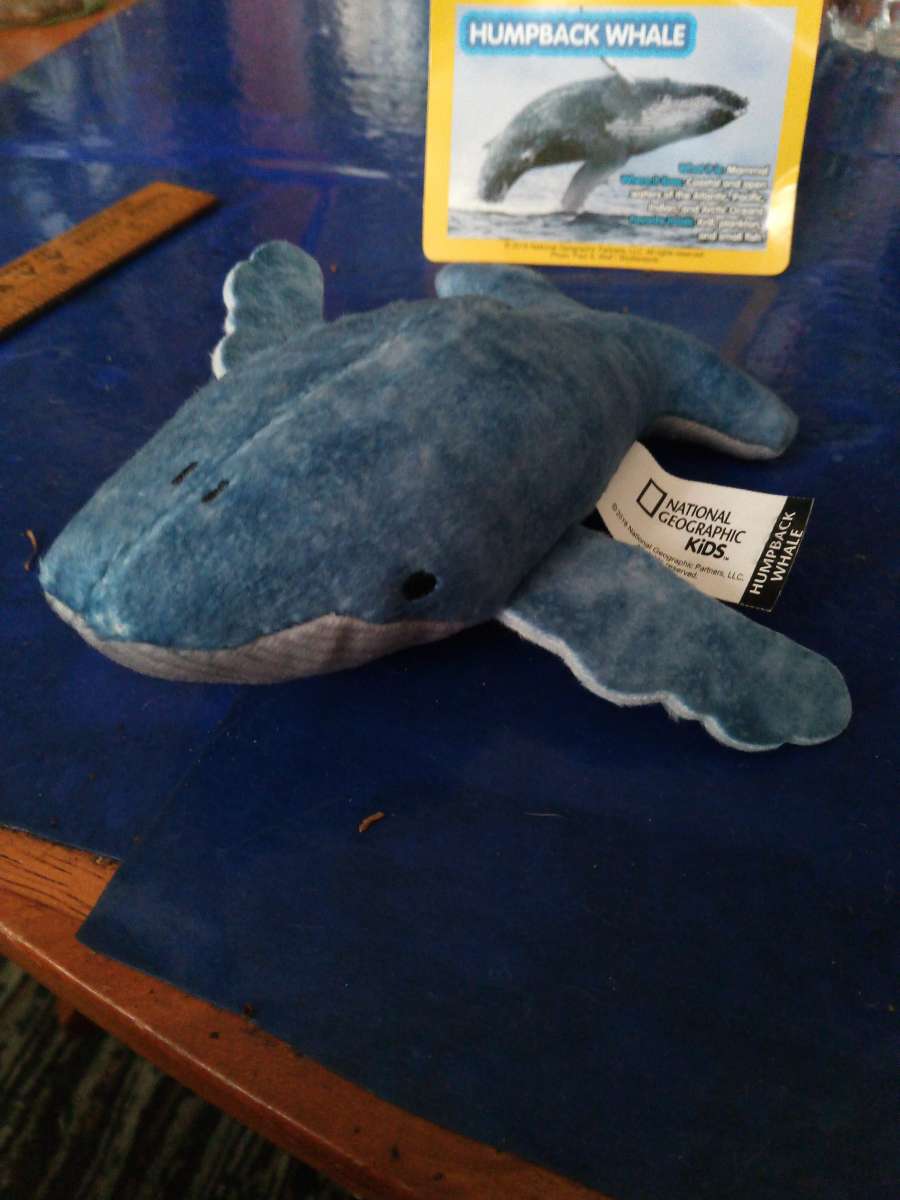 National Geographic humpback whale