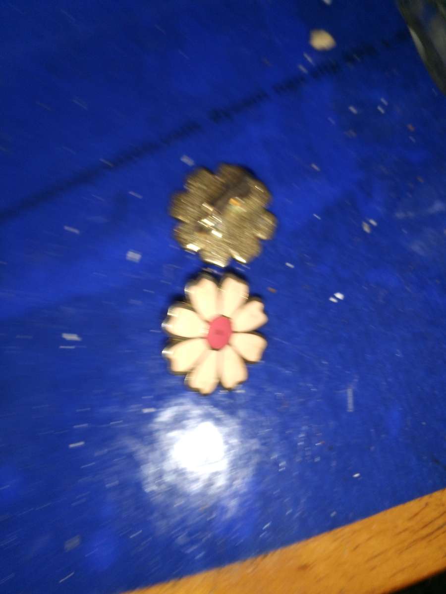 Vintage pair of enameled clip on earrings