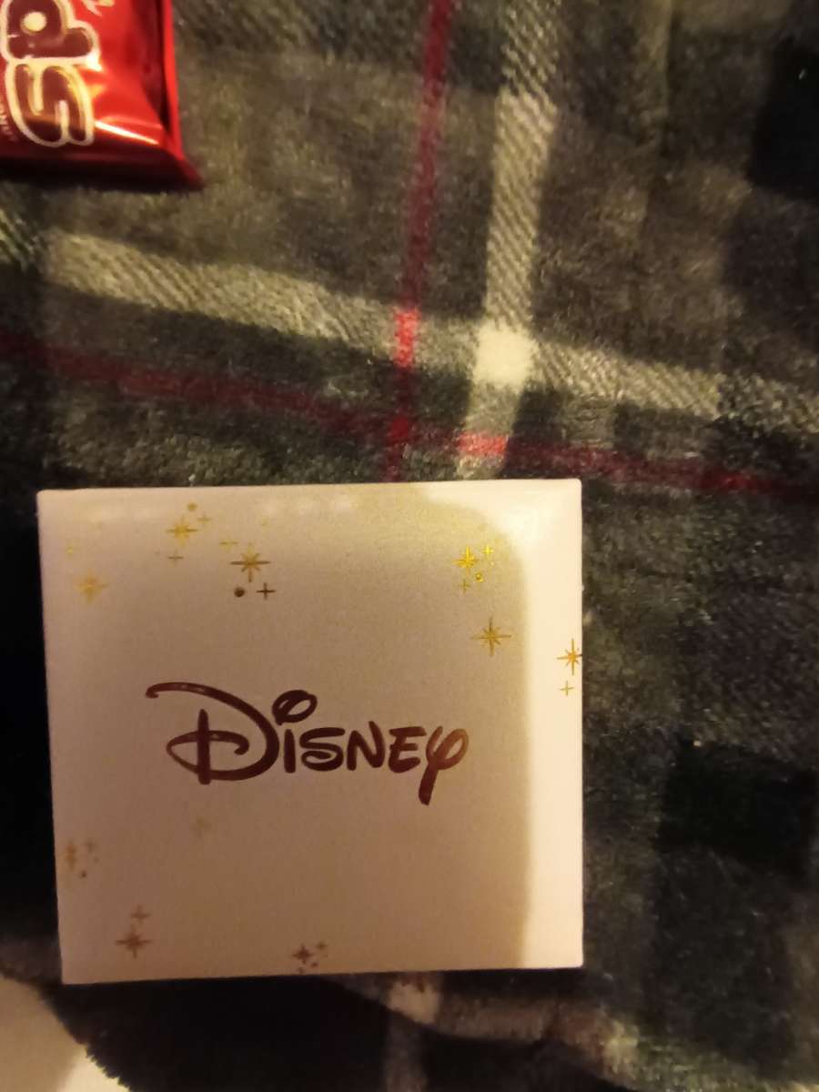 sterling silver Disney necklace with ladybug charm