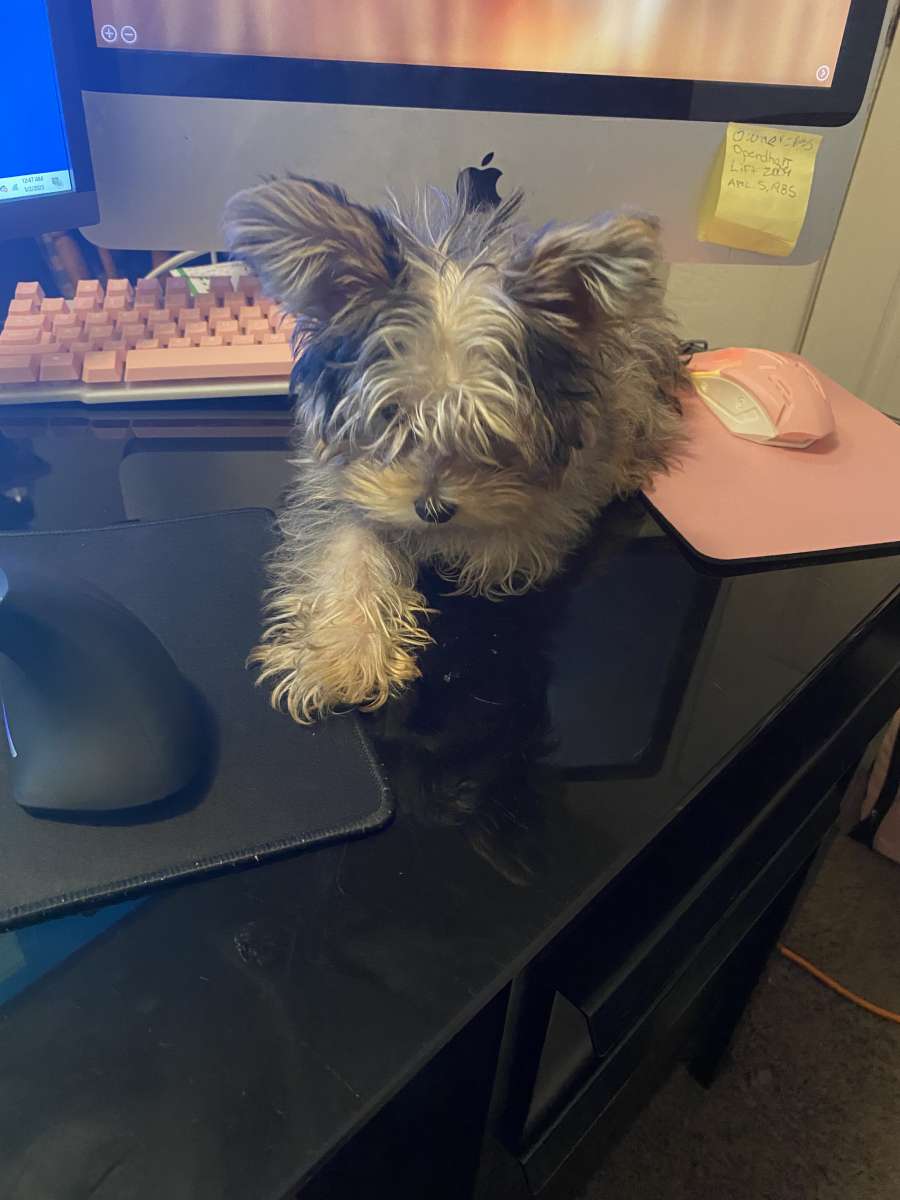 earrings and keychains