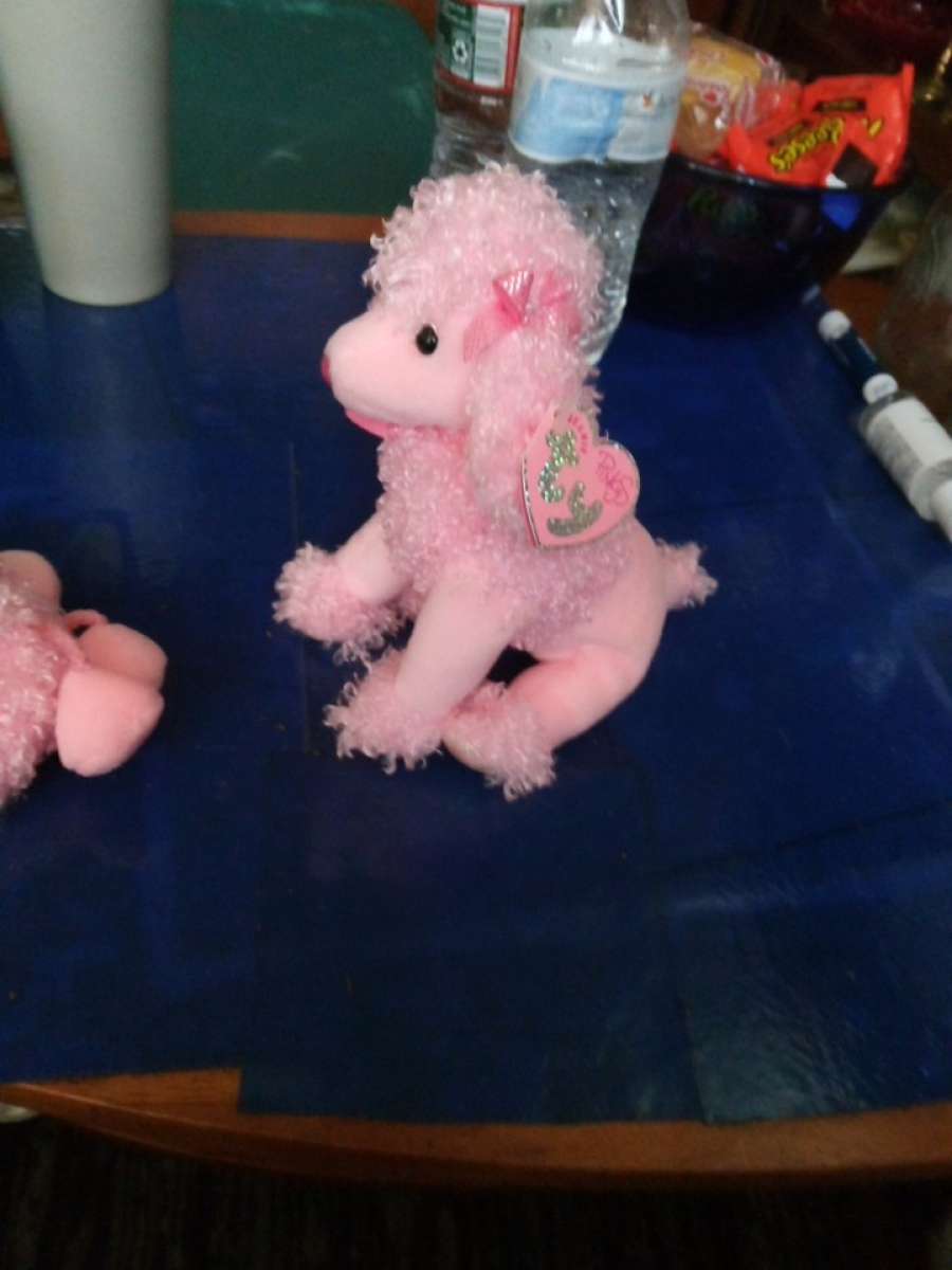 7inch TY PINKY POO
