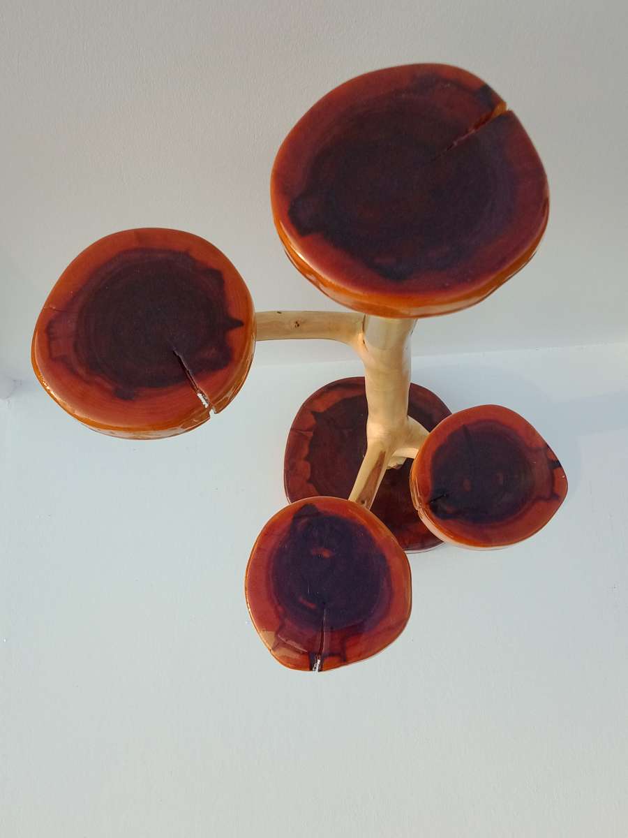 jaw dropping cedar display piece