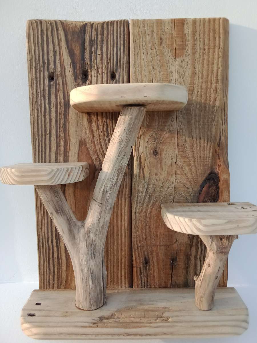 Rustic Display Shelf