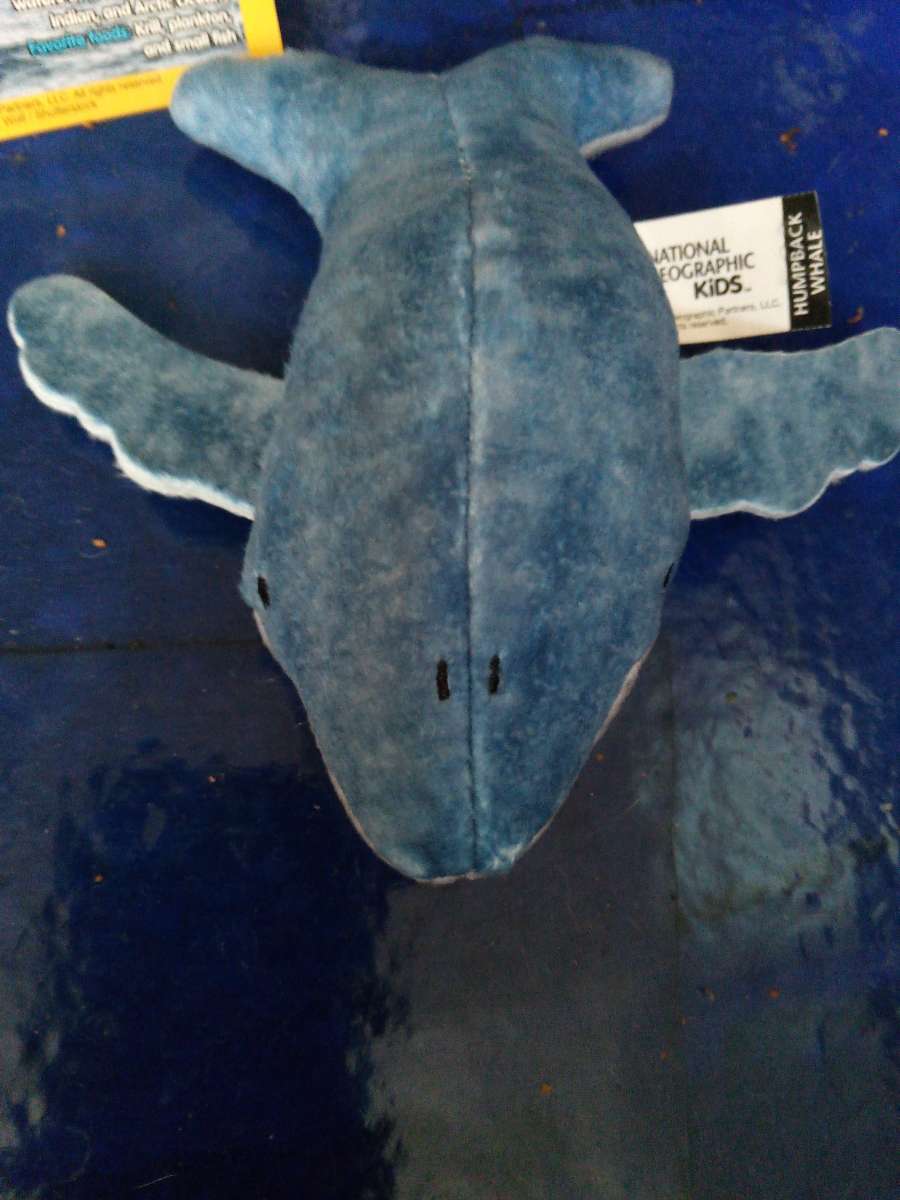 National Geographic humpback whale