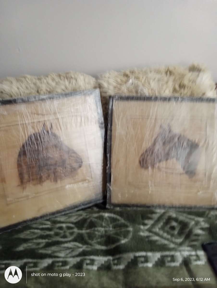 A set of RH Palinskes  Horse pictures in frames