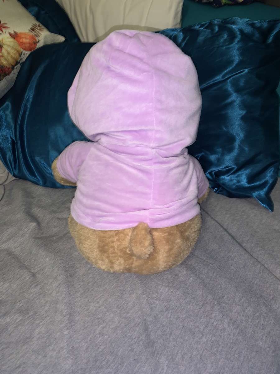 light brown ORIGINAL YOU MATTER voice recording bear