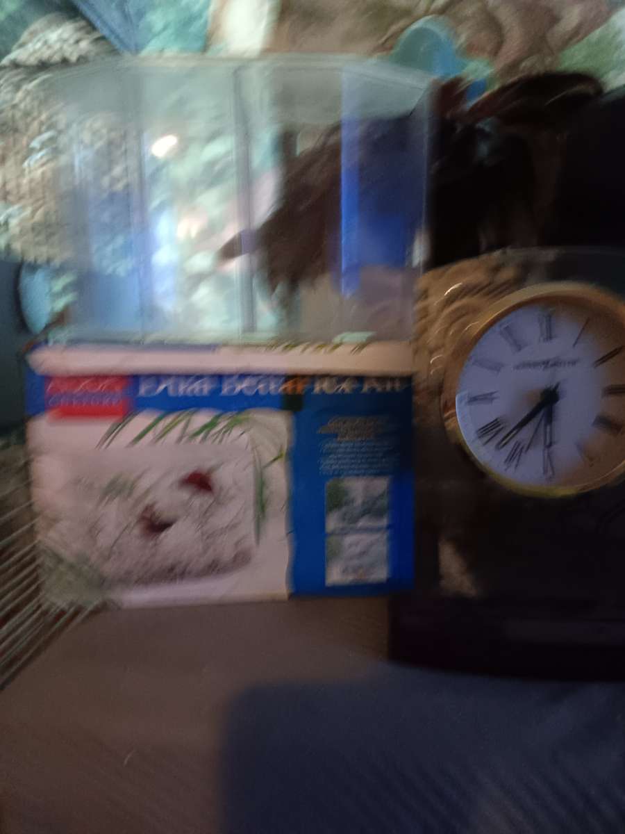 fighter fish holders