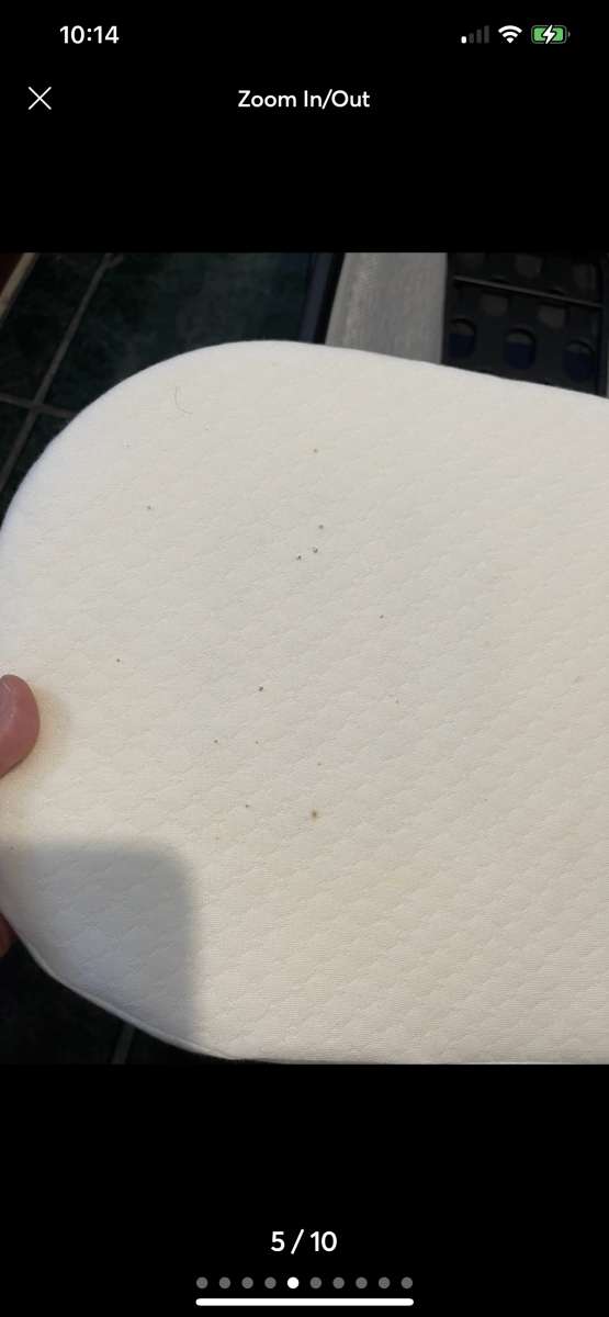 2021 Uppa baby bassinet