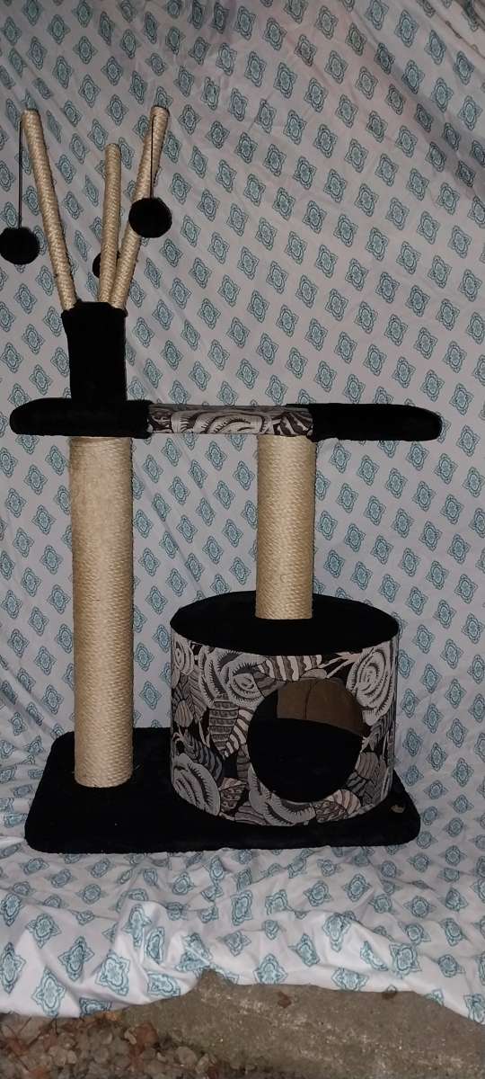 cat tree 40 dollars today